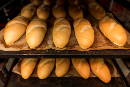 Conheça 13 atributos de qualidade do pão francês